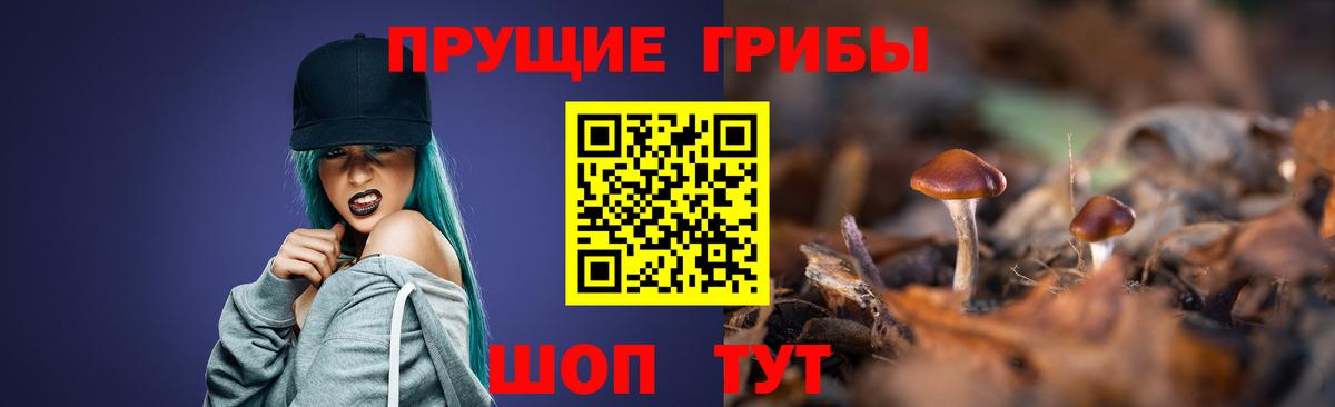 Псилоцибиновые грибы мицелий Родники